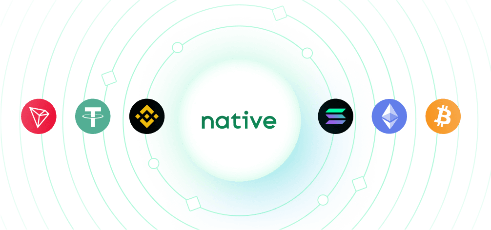 MultiChain Stable-coins Support